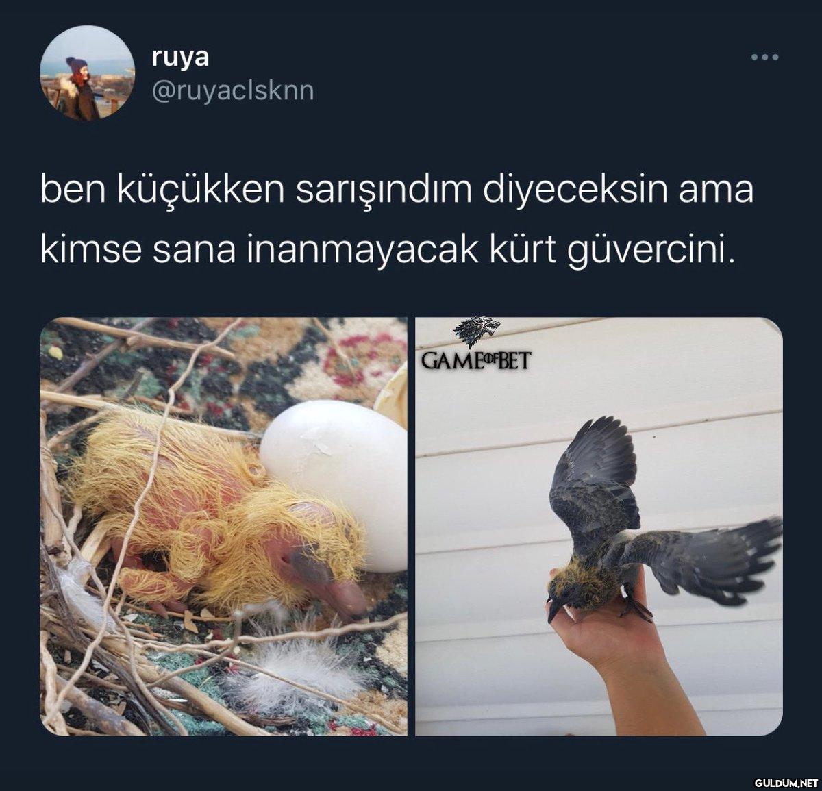 https://t.co/8lWadGPN3L  ...