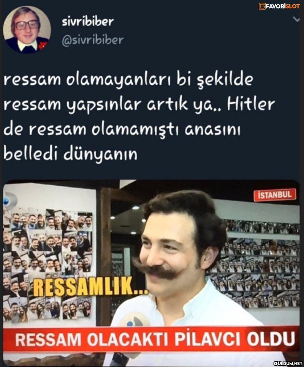 FS FAVORISLOT sivribiber...