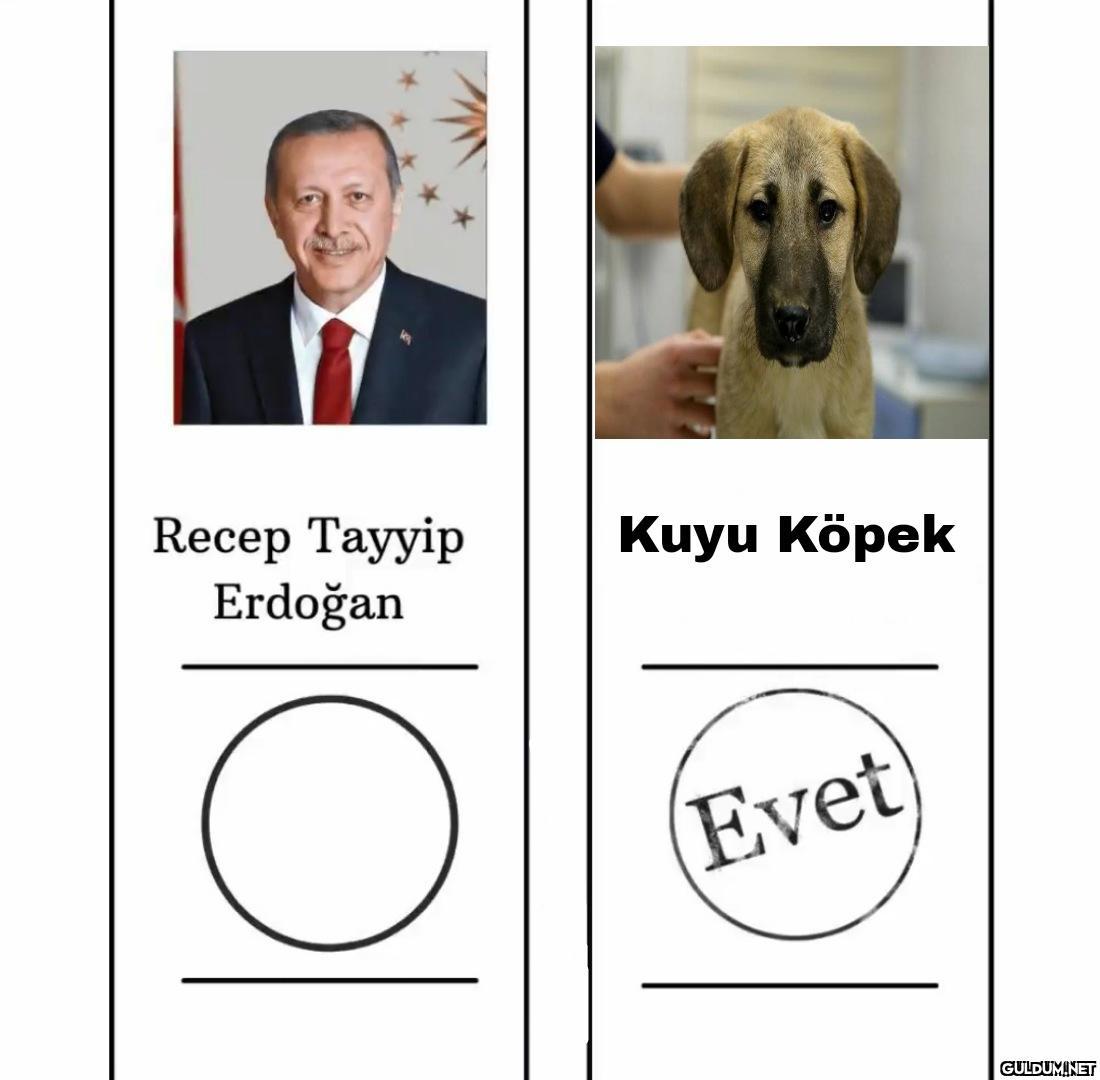 https://t.co/WN9Hor1VbY  ...