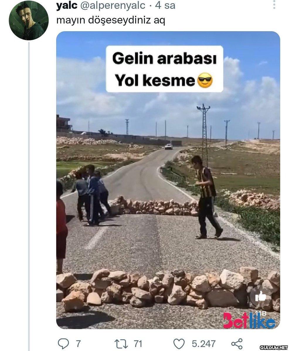 https://t.co/WEETeIbG00  ...