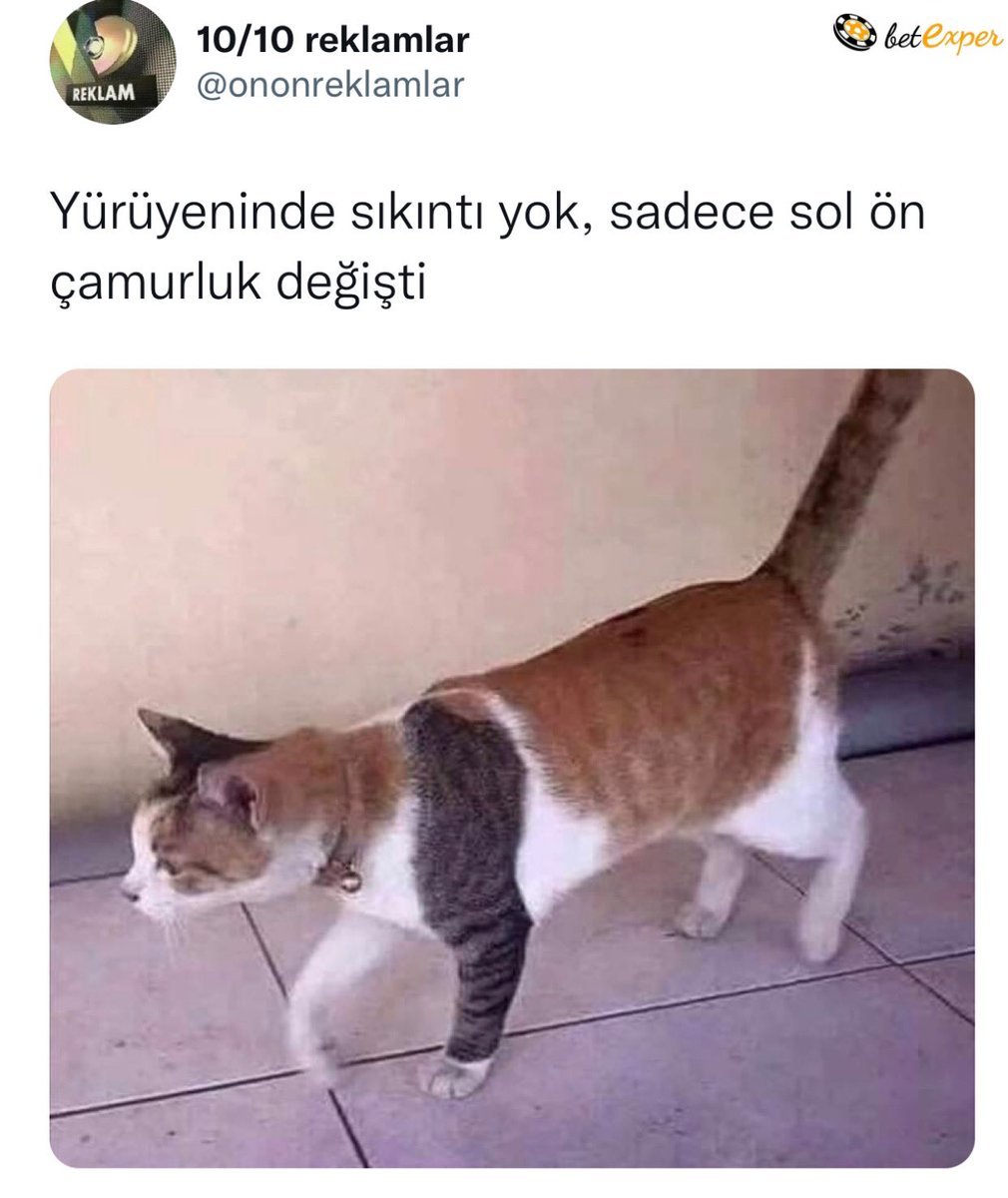 10/10 reklamlar...