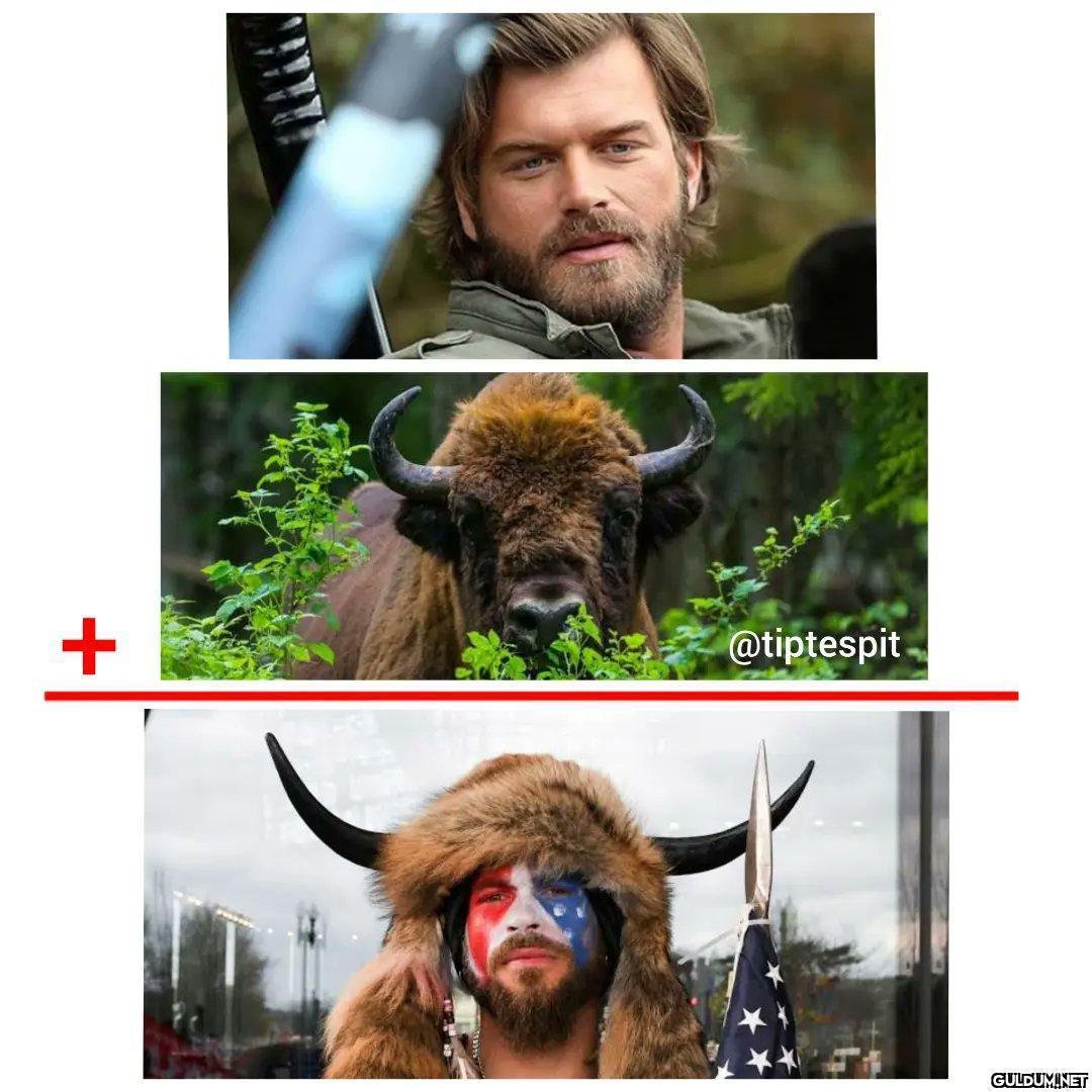 Kıvanç Tatlıtuğ + Bizon =...