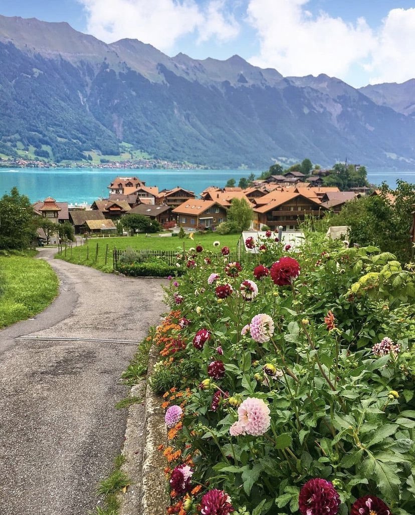 🇨🇭İsviçre...