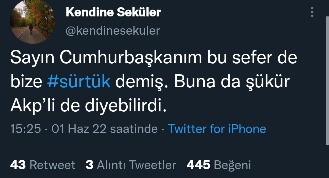 Kendine Seküler...