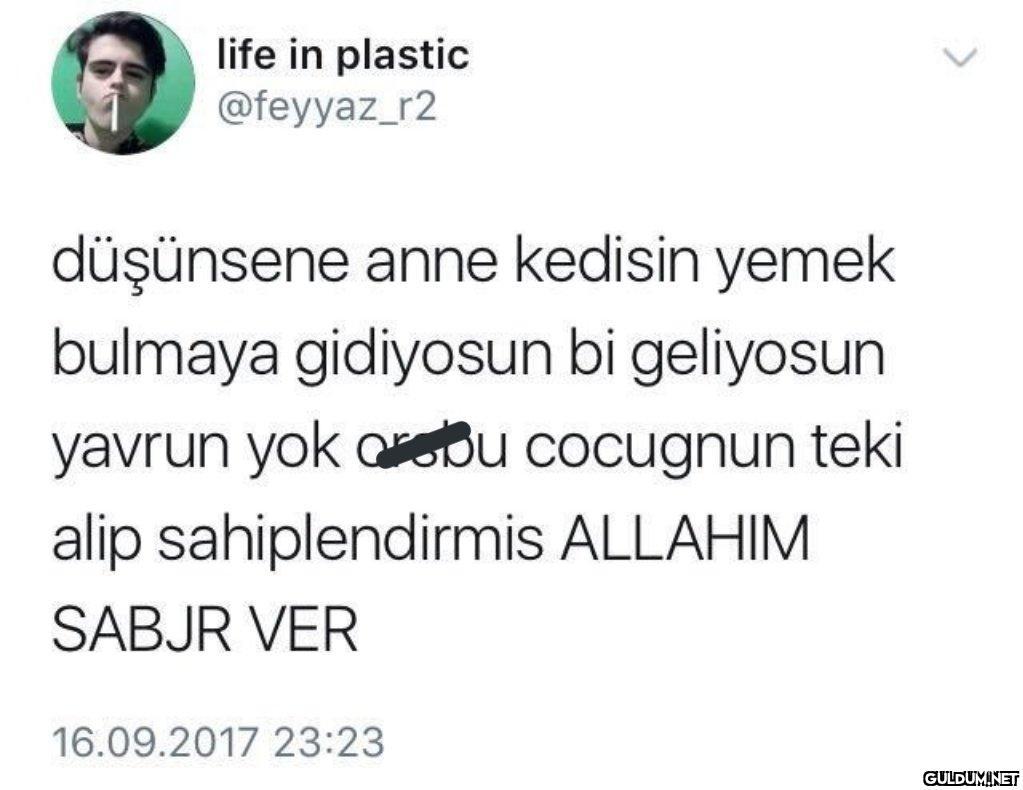 life in plastic @feyyaz_r2...
