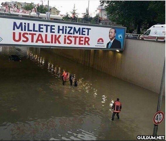 HAYYYYVAN GİCİ COMİC😂😂...