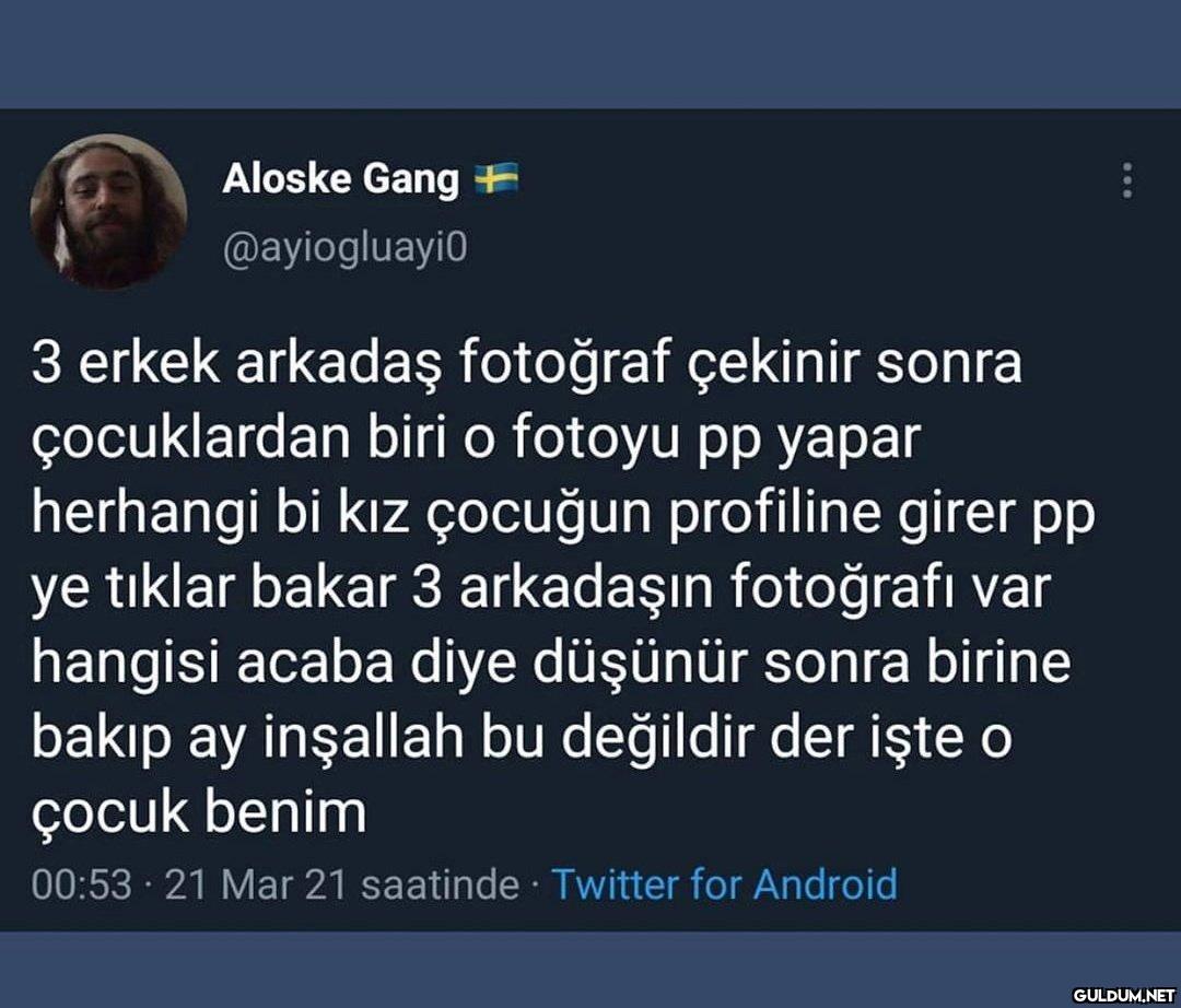 : Aloske Gang +...