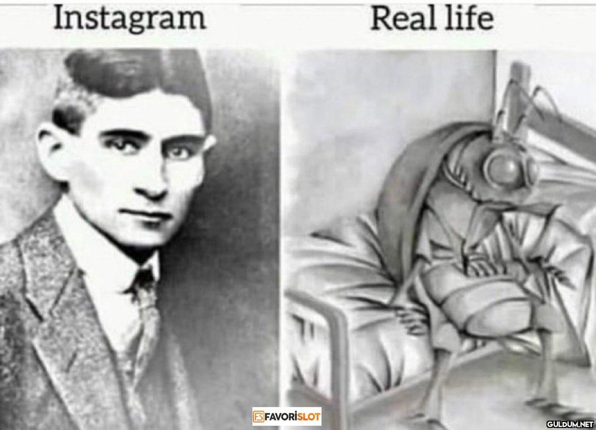 Instagram FAVORISLOT Real...