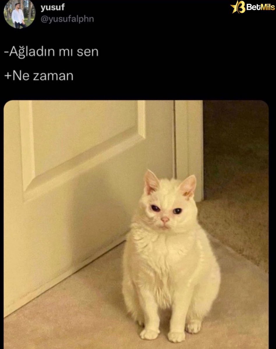 Mood...