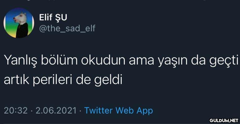Elif ŞU @the_sad_elf...