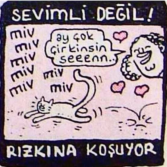 SEVIMLI DEGIL! miv miy miv...