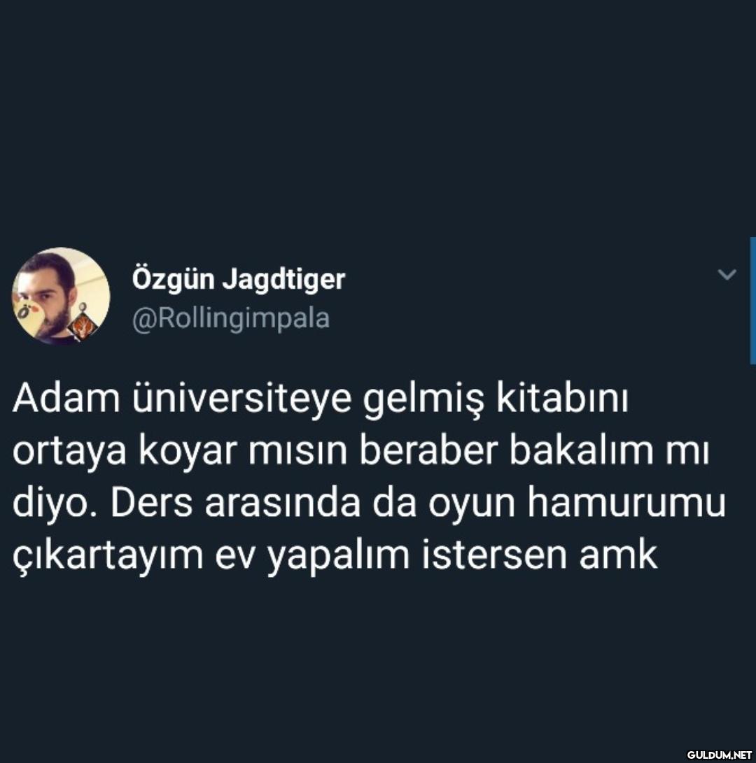 Özgün Jagdtiger...