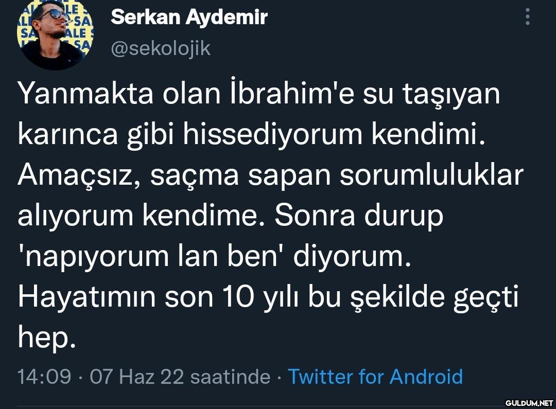 LE : ALES SA Serkan...