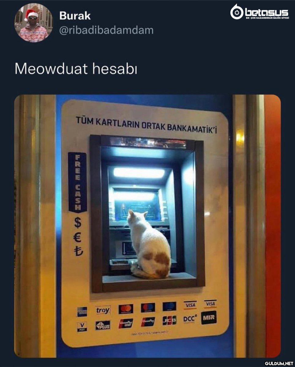https://t.co/d59jW3VPLX  ...