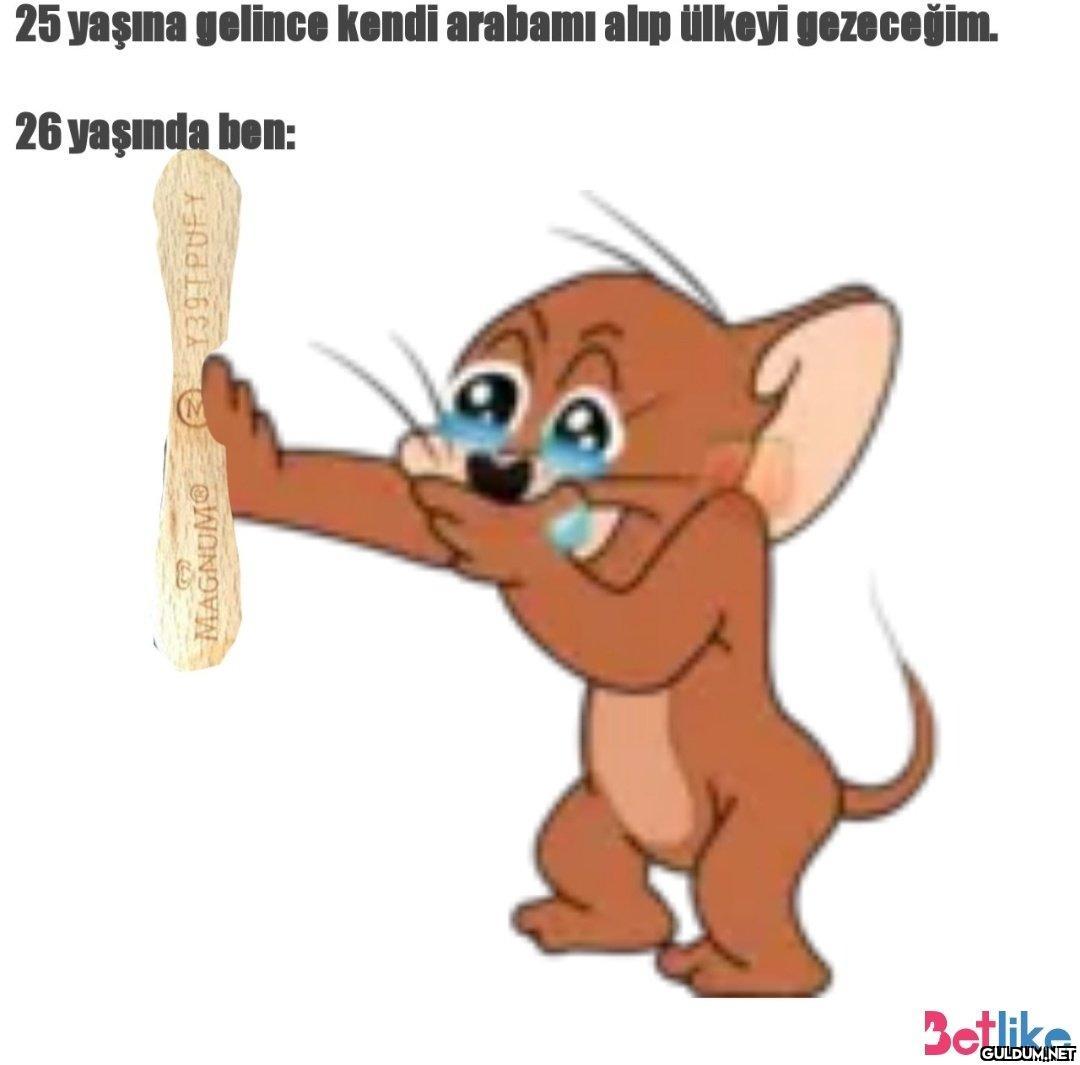 https://t.co/GDU13ssp3e  ...