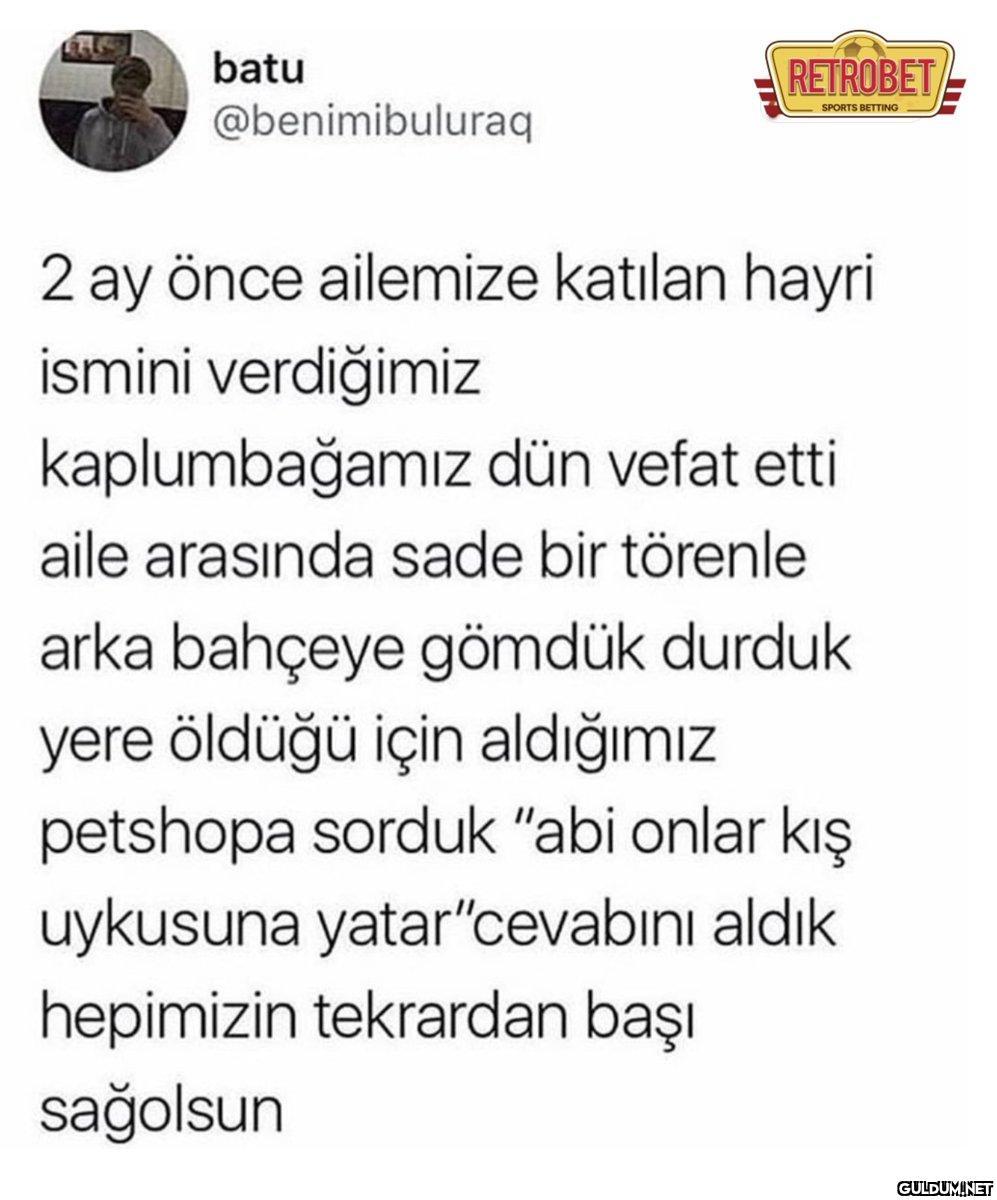 https://t.co/EbmnjrXPD8  ...