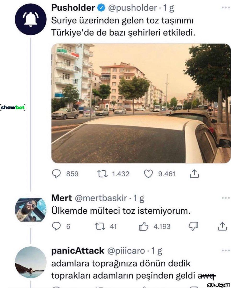 showbet Pusholder...