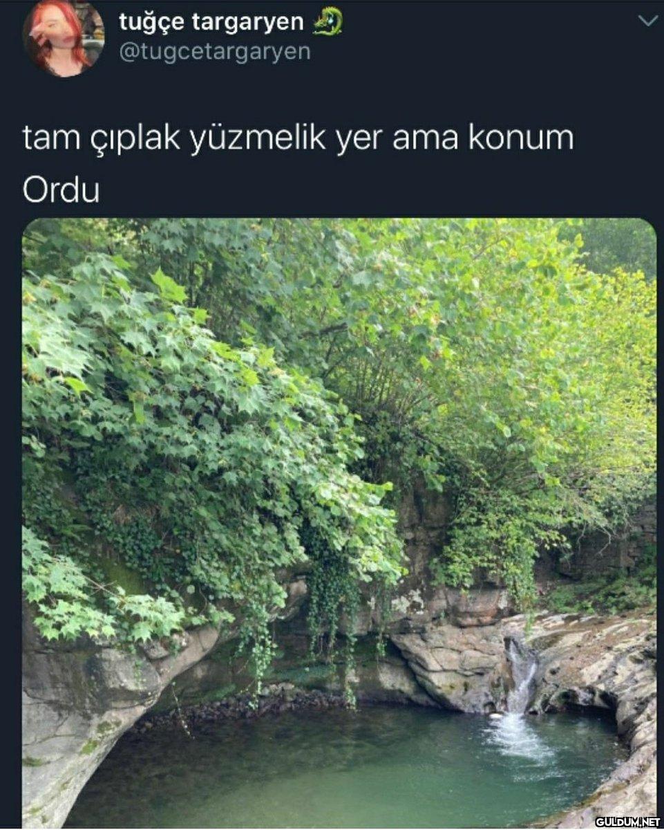 tuğçe targaryen...