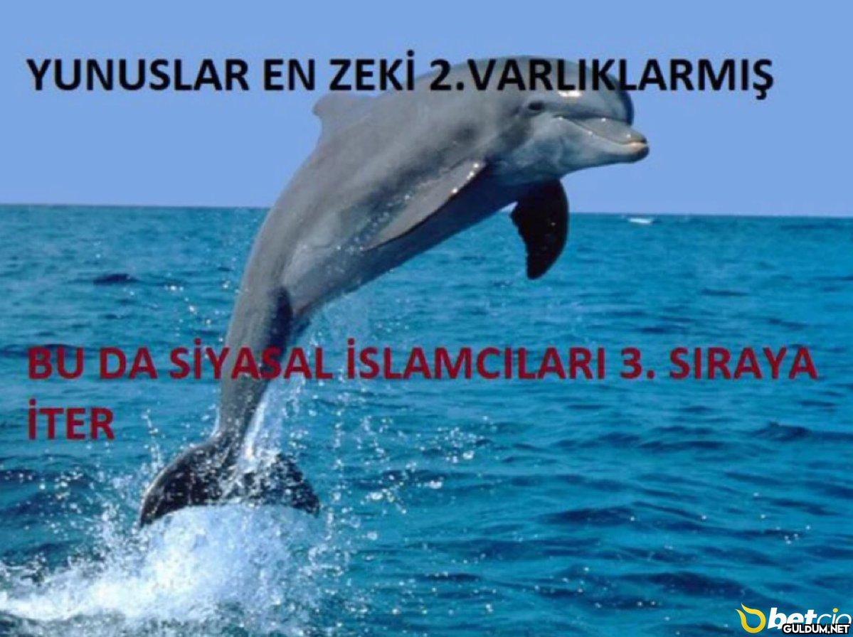 YUNUSLAR EN ZEKİ...