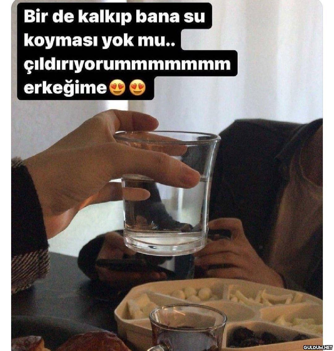 tropikal ormandan meyve...