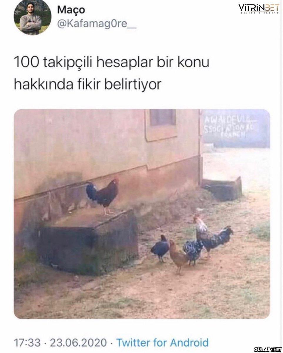 https://t.co/20I398k3Ib  ...