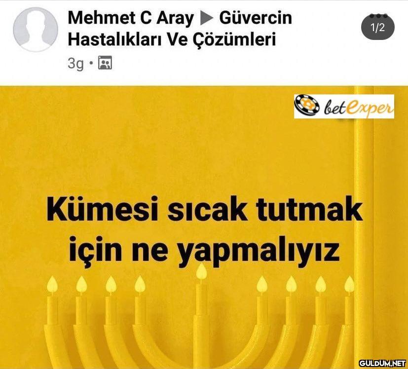 Güvercin hastalıkları ve...