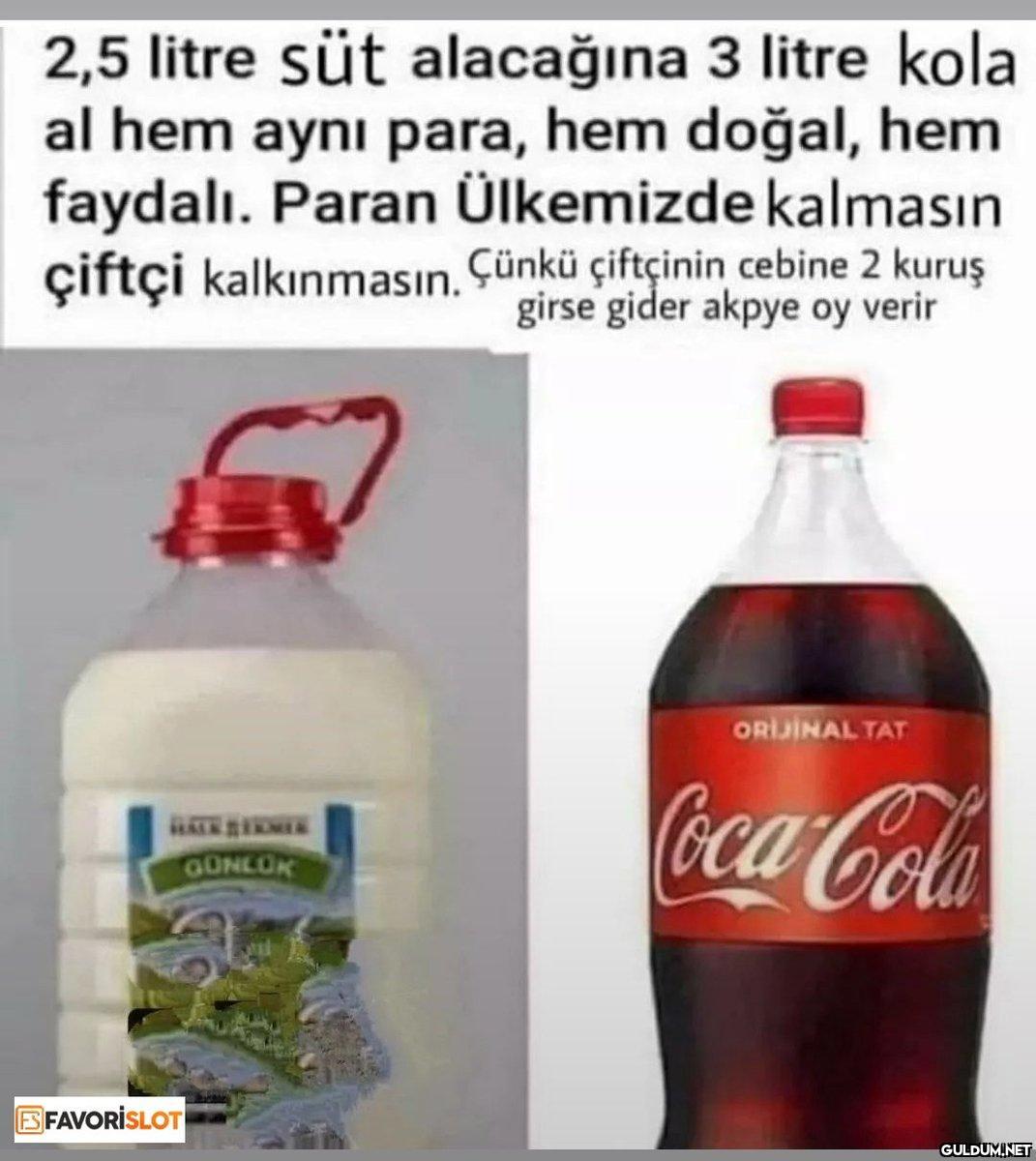 Budur...