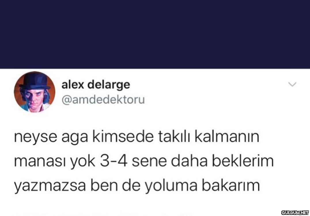 alex delarge @amdedektoru...