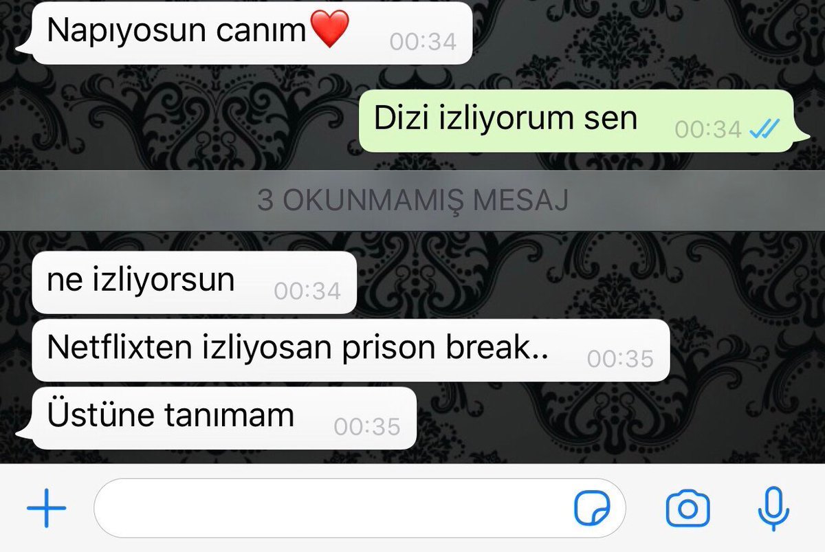 Aynen aga prison break...