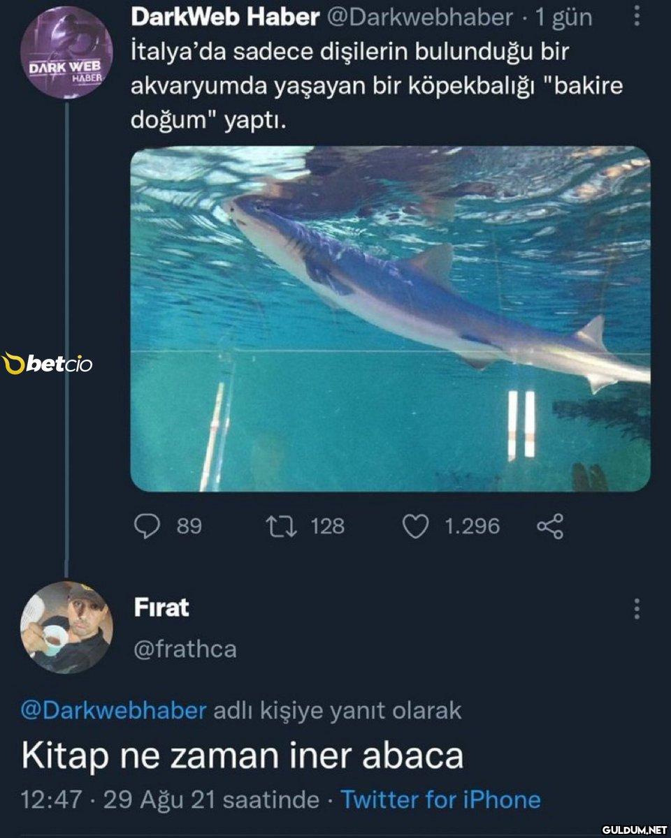DarkWeb Haber...