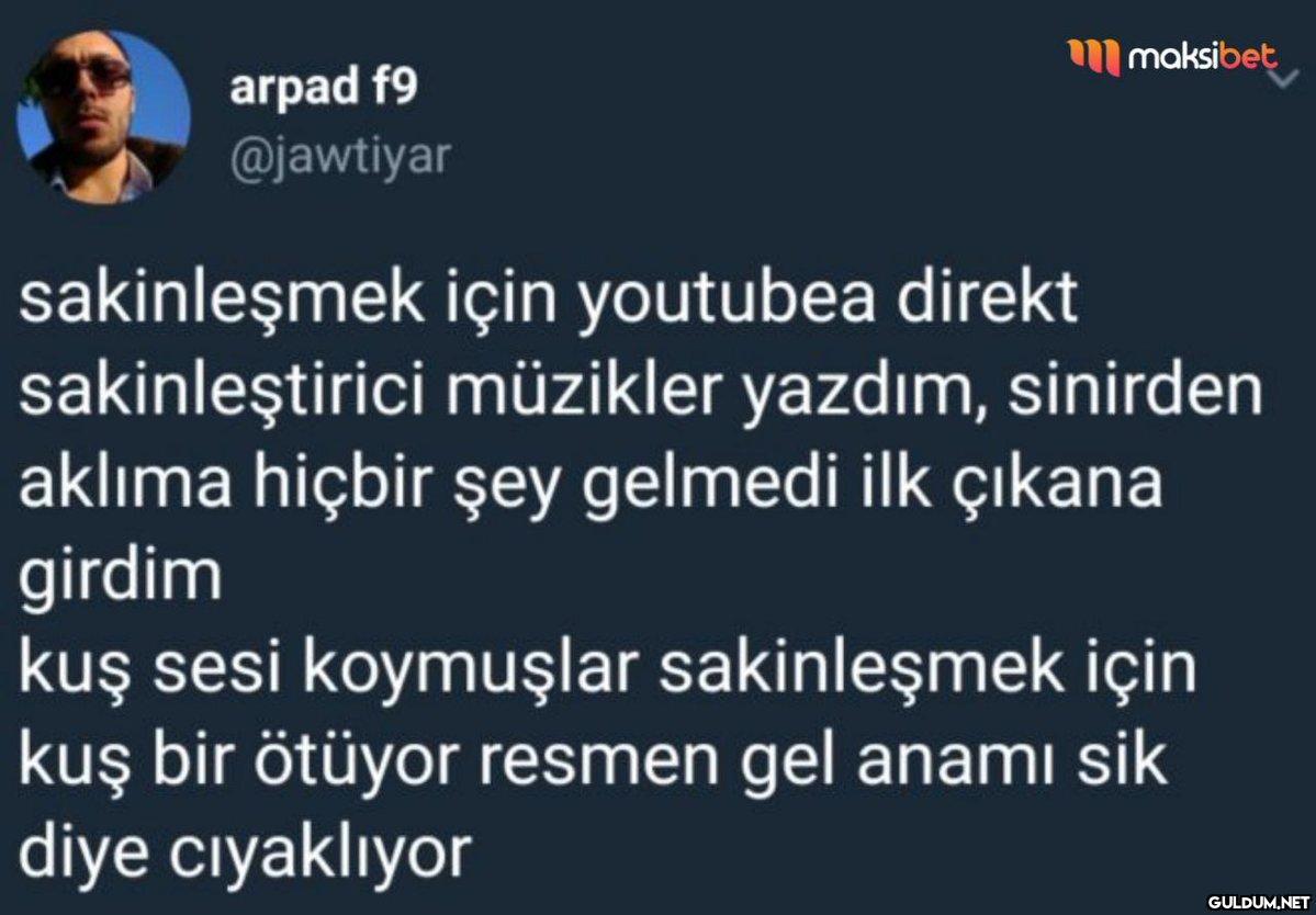 https://t.co/vbpcn7TA8Q  ...