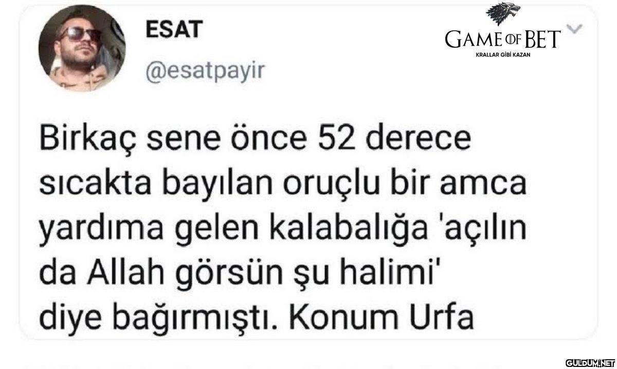https://t.co/CwZGDYgrkk  ...