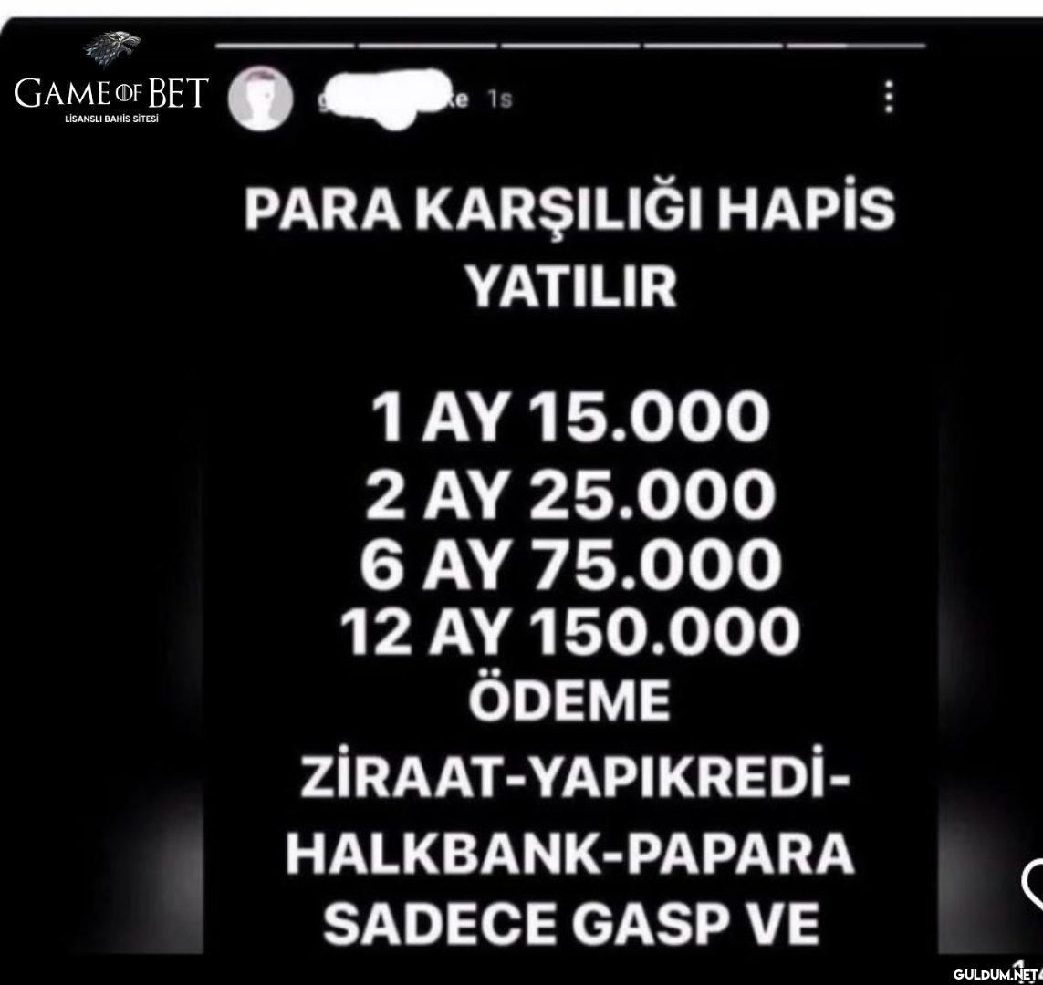 Mesleğimi buldum sanırım...