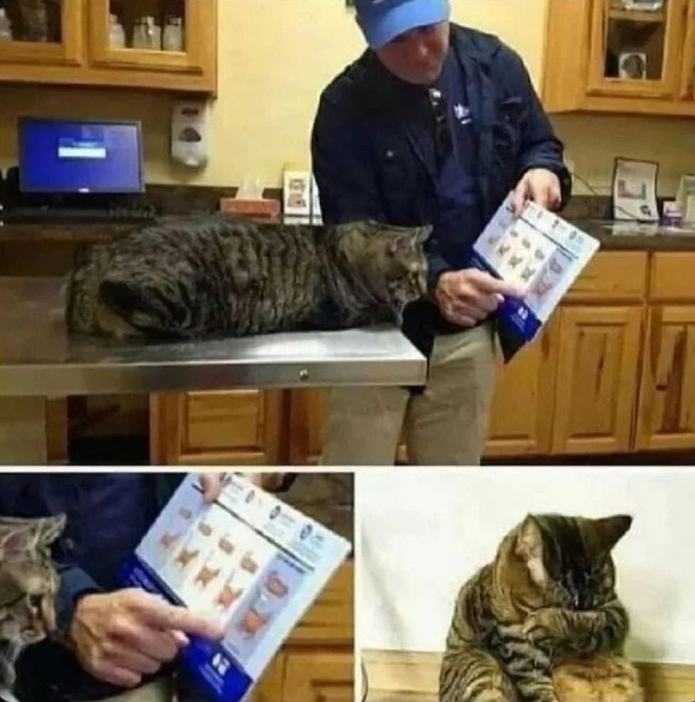 Veteriner nazik bi dille...