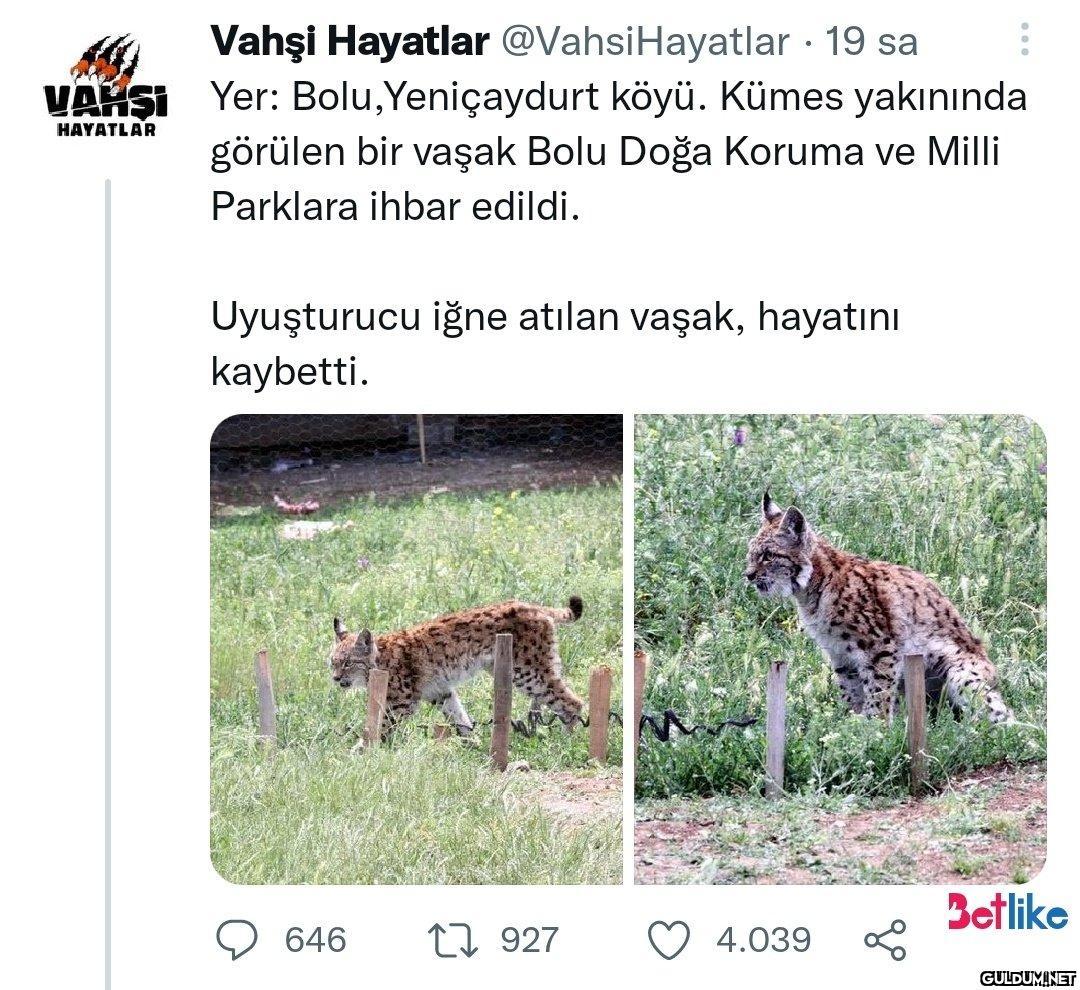 🤦🏻‍♂️🤦🏻‍♂️🤦🏻‍♂️🤦🏻‍♂️...