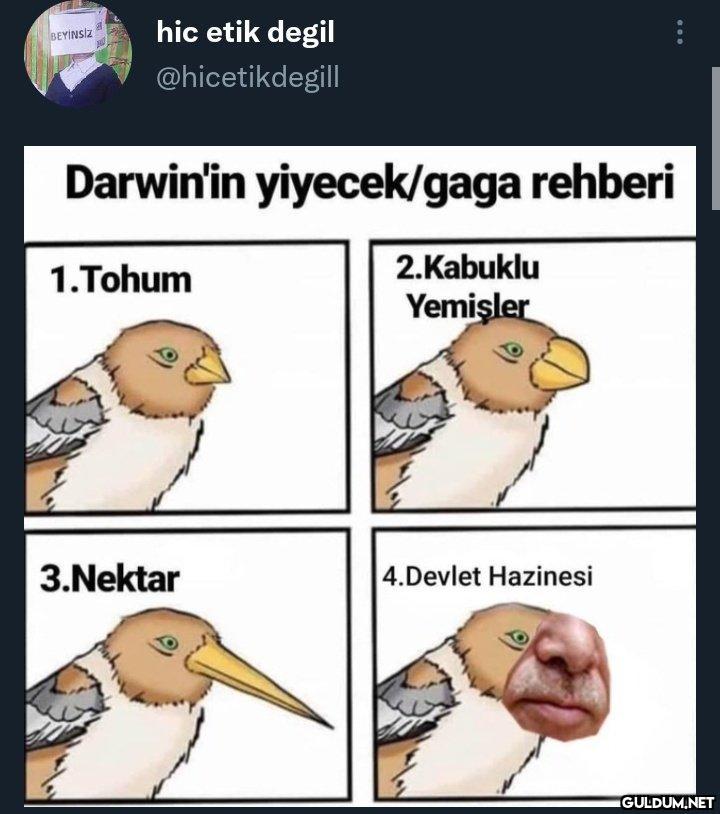 https://t.co/z3tSczAN02  ...