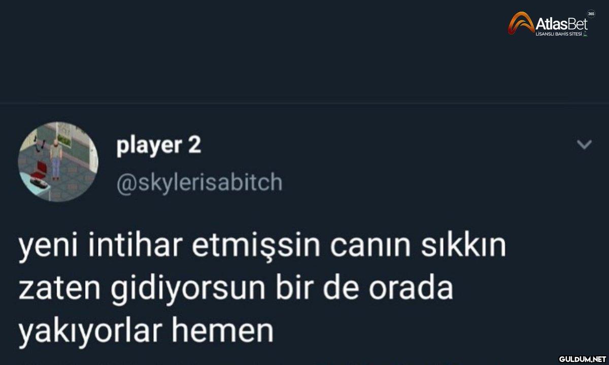 https://t.co/5w4dqJXGzf  ...