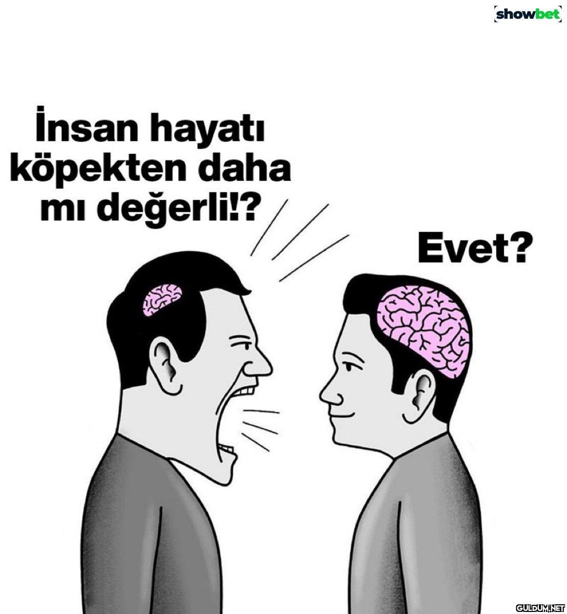 İnsan hayatı köpekten daha...