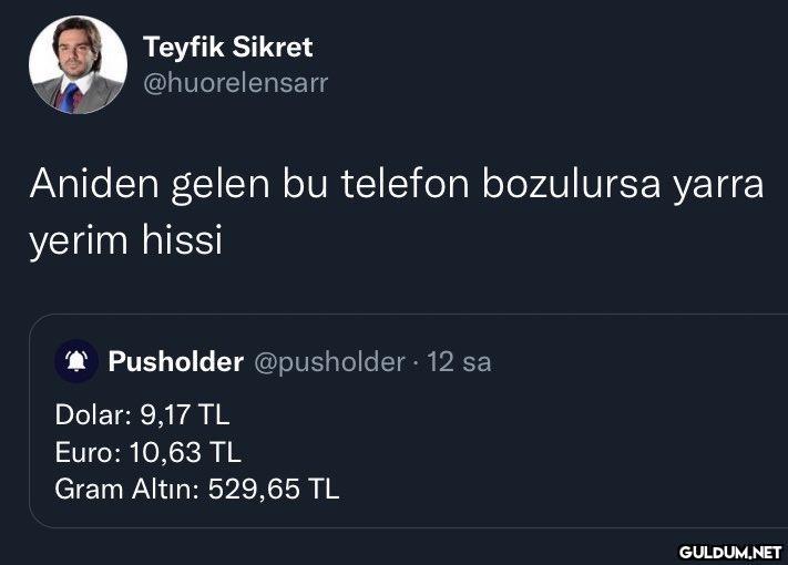 Teyfik Sikret...