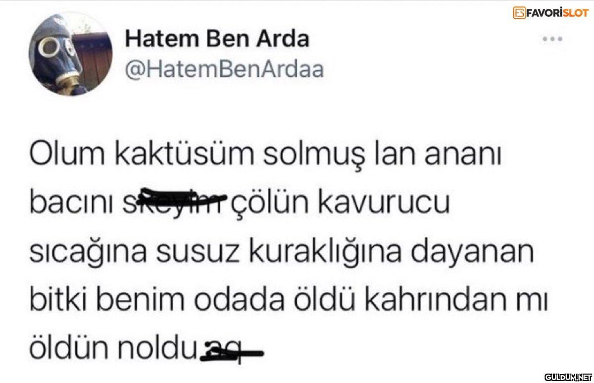 ES FAVORISLOT *** Hatem...