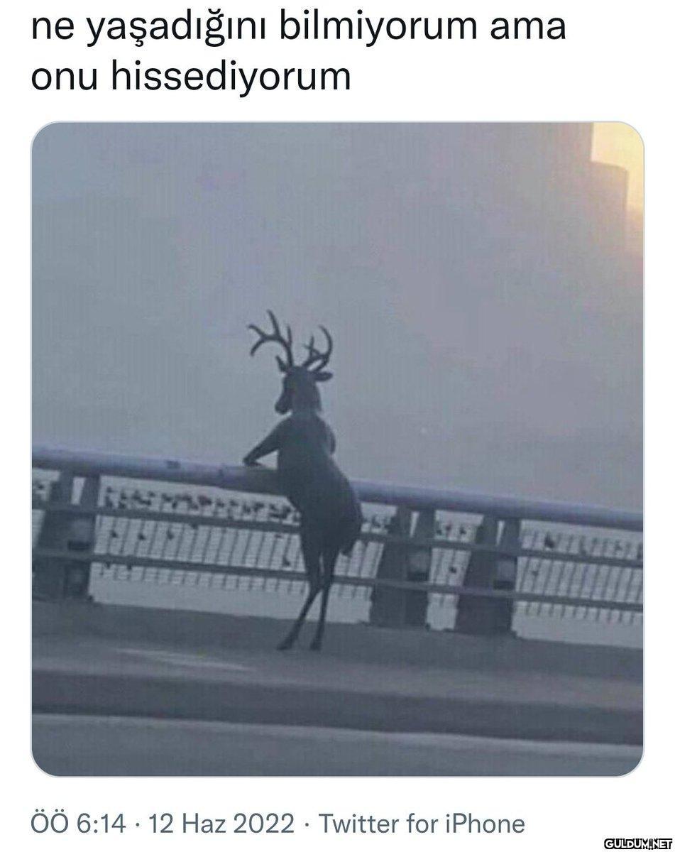 Olum geyiği bile uzmusler...