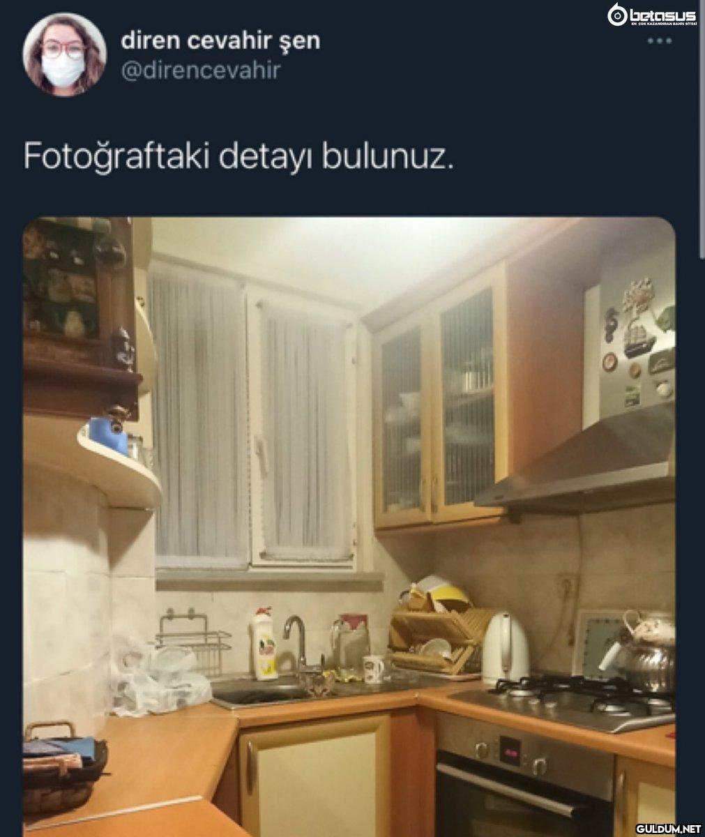 diren cevahir şen...