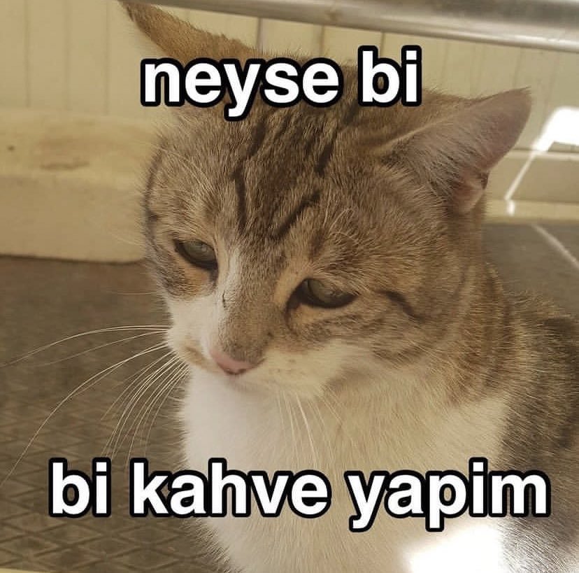 Sorunların üstesinden...