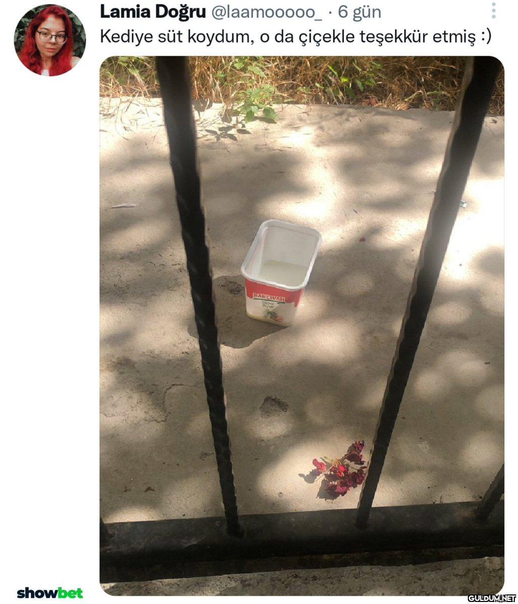 Gayet güzel bir teşekkür...