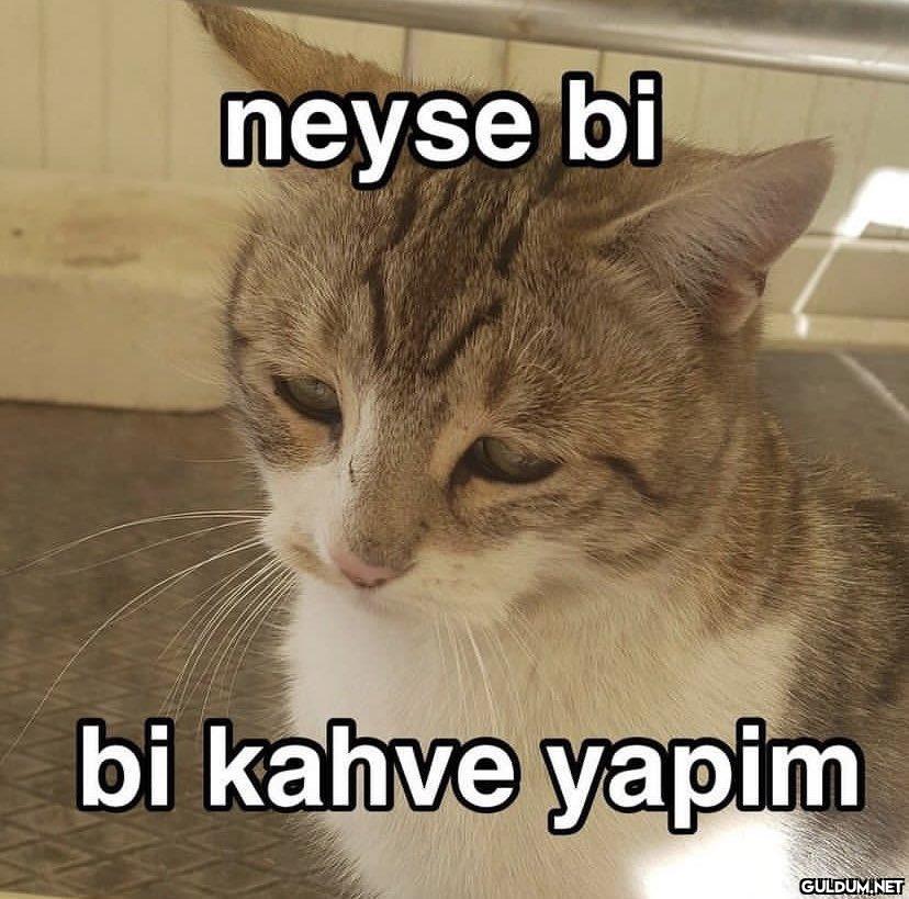 Sorunların üstesinden...