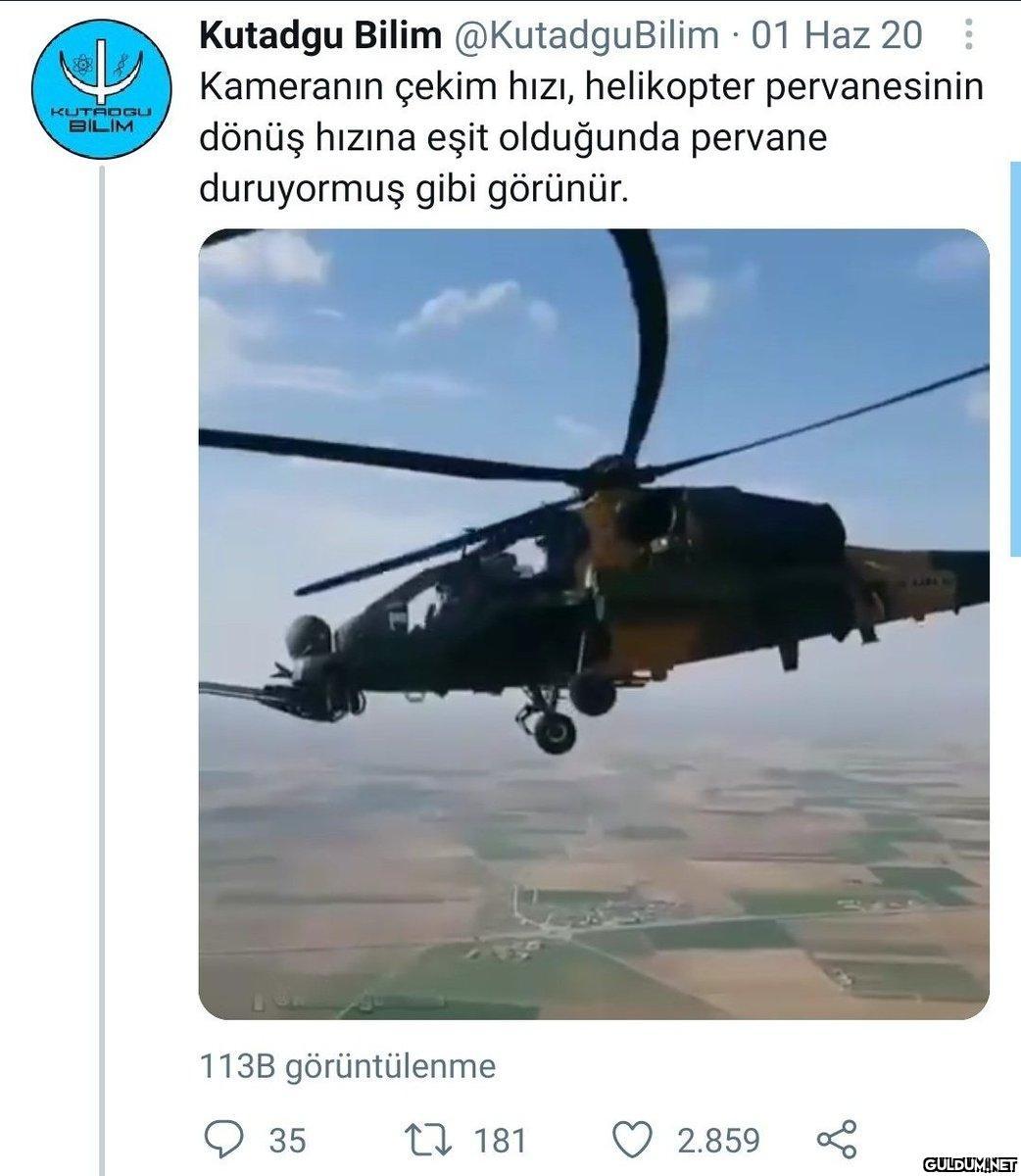 Hiç...