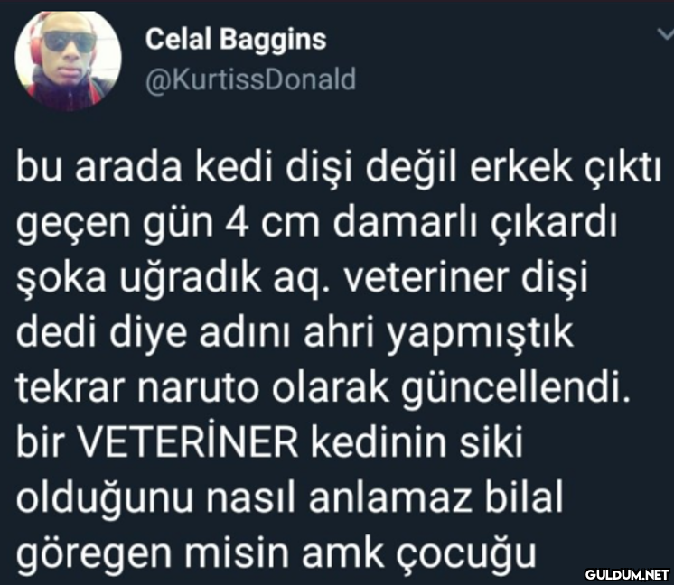Celal Baggins...