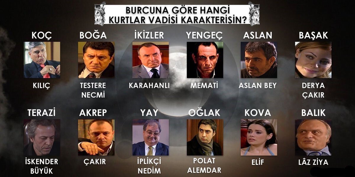 Sen hangi Kurtlar Vadisi...