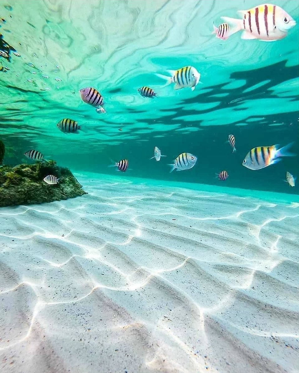 🌊 Suyun harika berraklığı...