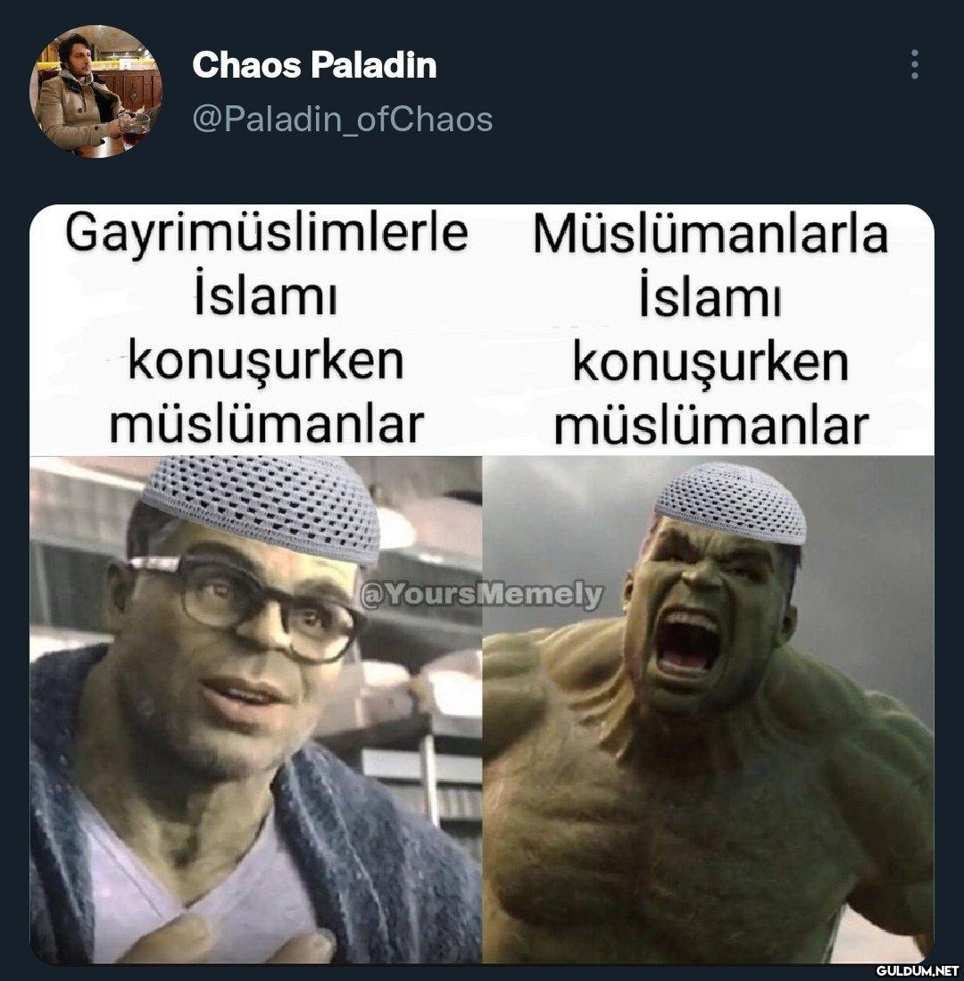 Chaos Paladin :...